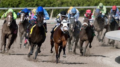 drf past performances|DRF's Horse Racing Playbook for Friday, August 30, 2024.